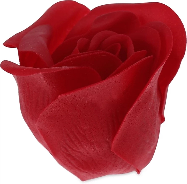 Artificial Roses with Teddy Bear Valentine's Day Gift Box (Multicolor)