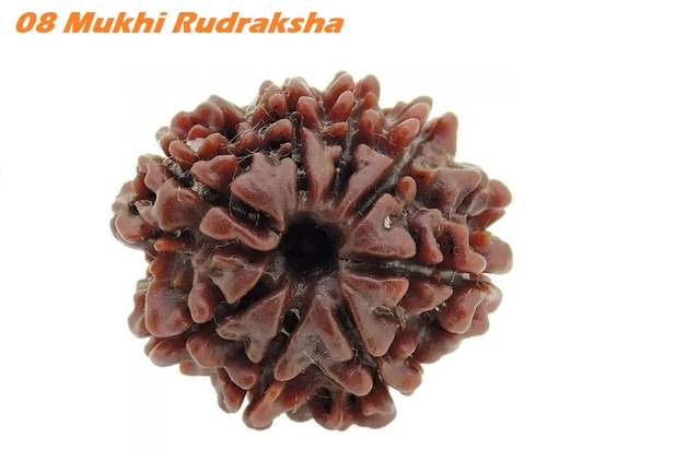 3 Mukhi Rudrakash Pendant (Brown)