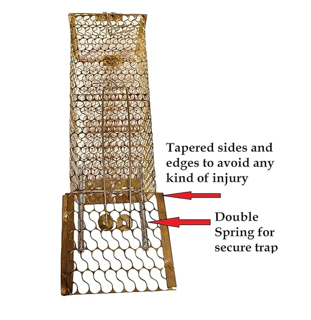 Fancy Traps For Mouse Trap (Pack Of 1)