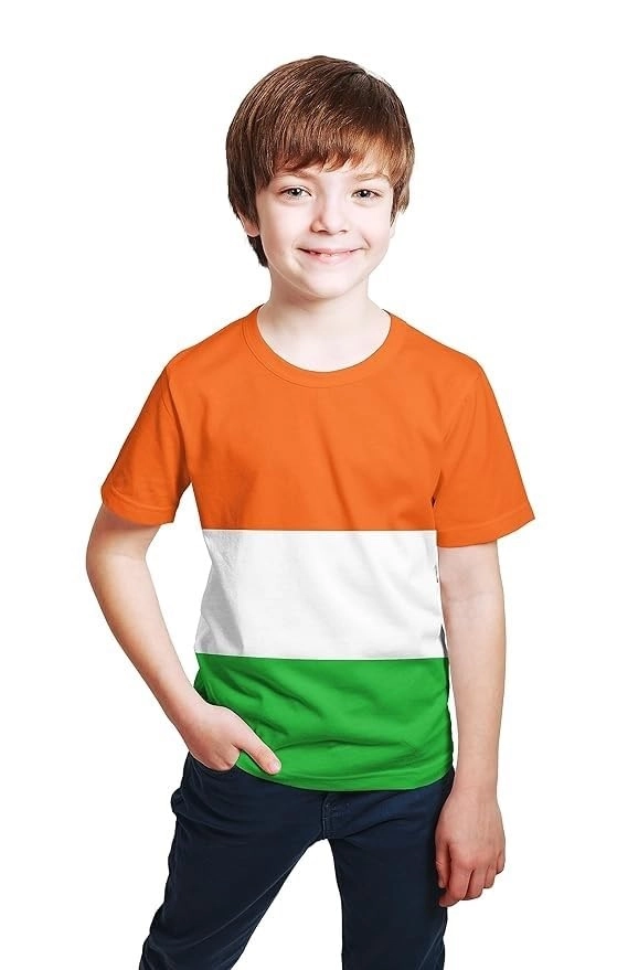 Round Neck Colourblocked T-Shirt for Boys (Multicolor, 2-3 Years)