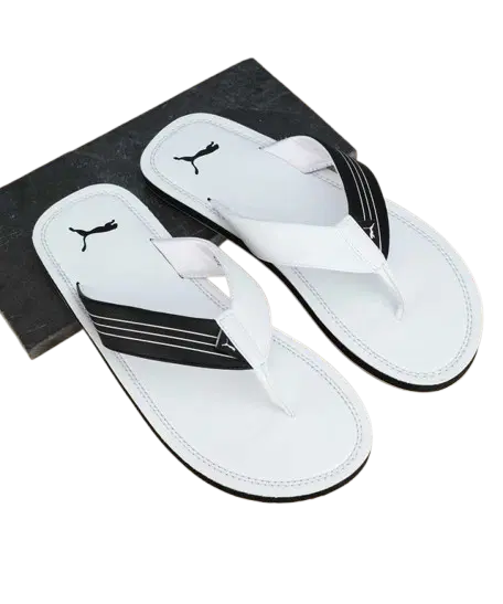 Mens Flipflops & Slippers