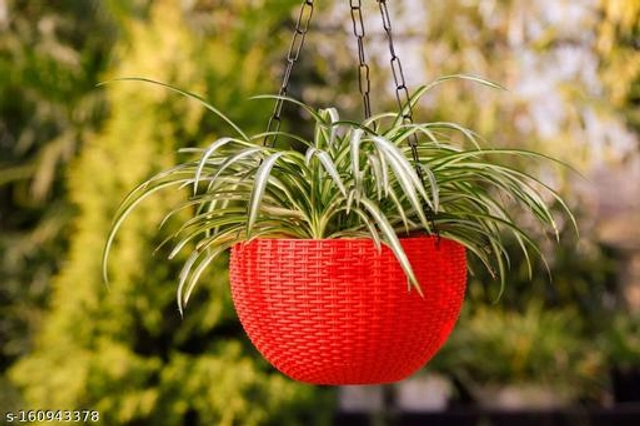 Plastic Hanging Planter (Multicolor, Pack of 2)