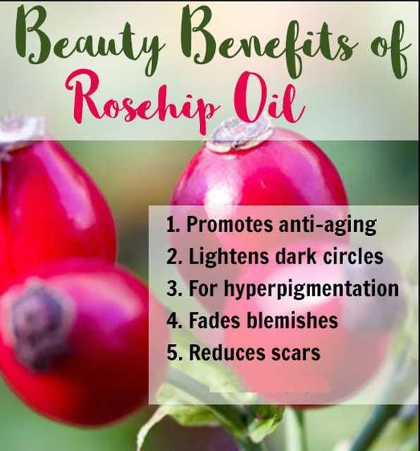 Park Daniel Rosehip Oil & Avocado Oil (Pack of 2, 100 ml) (SE-1666)