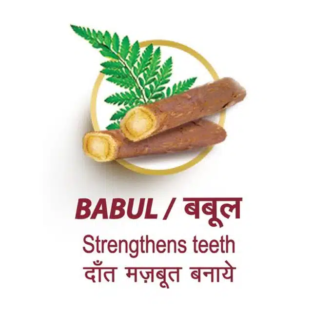 Dabur Babool Ayurvedic Paste 175 g + 175 g