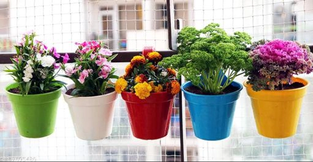 Plastic Hanging Planters (Multicolor Pack of 5)