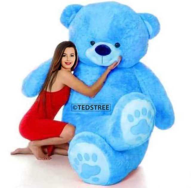 3 Feet Teddy Bear for Girls (Blue) (SA-5)