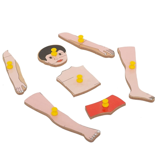 Wooden Body Parts Puzzle Board for Kids (Multicolor)