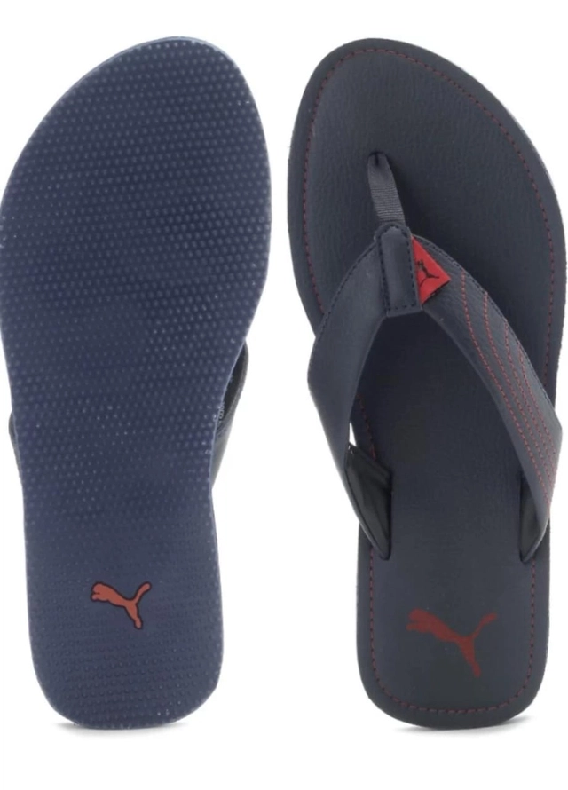 Slippers for Men (Blue, 6)