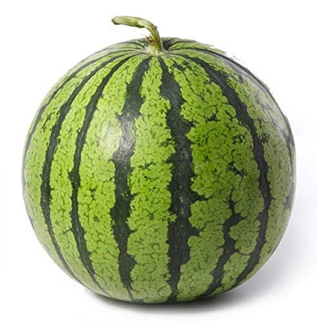 Jignisha Seeds Green Watermelon Fruit Seeds (Green, Pack of 10)