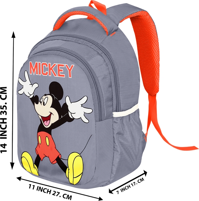 School Bag for Kids (Grey, 30 L)