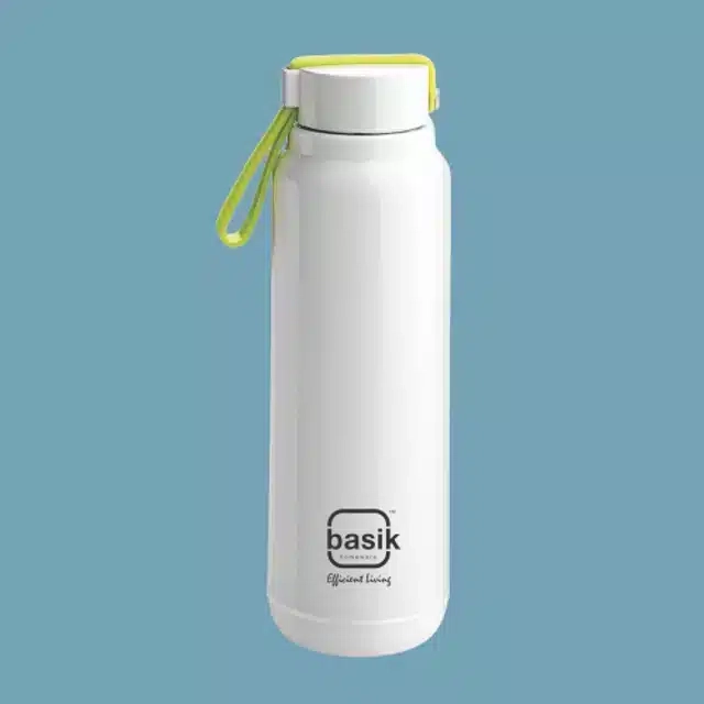 Stainless Steel Insulated Water Bottle (White, 650 ml)