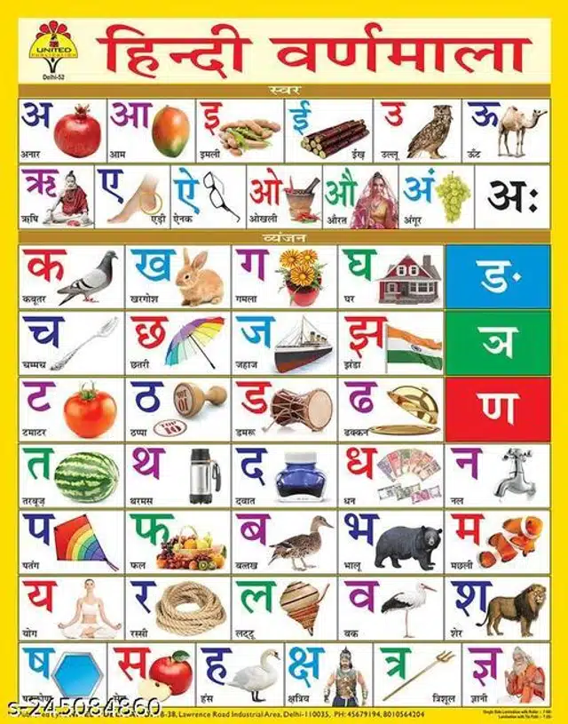 Learning  Wall Chart for Kids (Multicolor, Pack of 10)