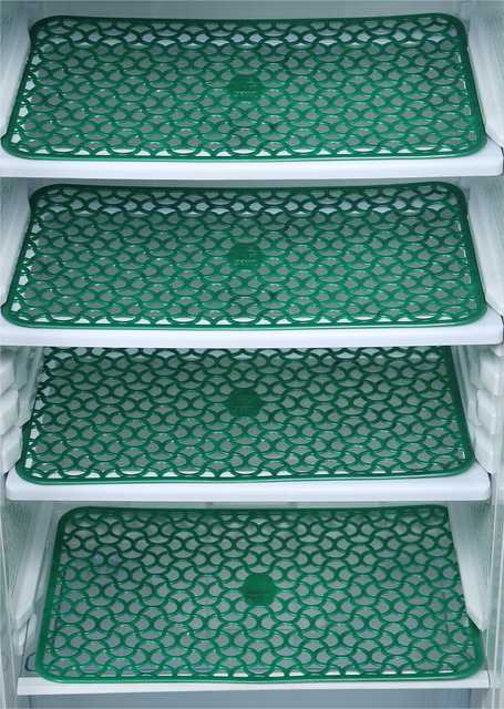 PVC Multipurpose Fridge Mat (Pack of 4) (Green, 44x30 cm) (ER-190)