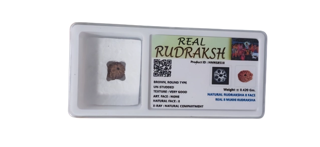 3 Mukhi Rudrakash Pendant (Brown)