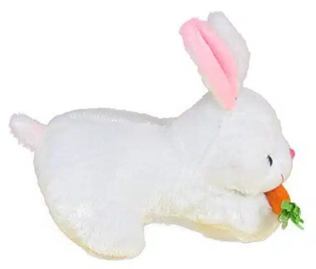 Rabbit with Carrot Soft Toy (Pack of 2) (White, 22 cm)