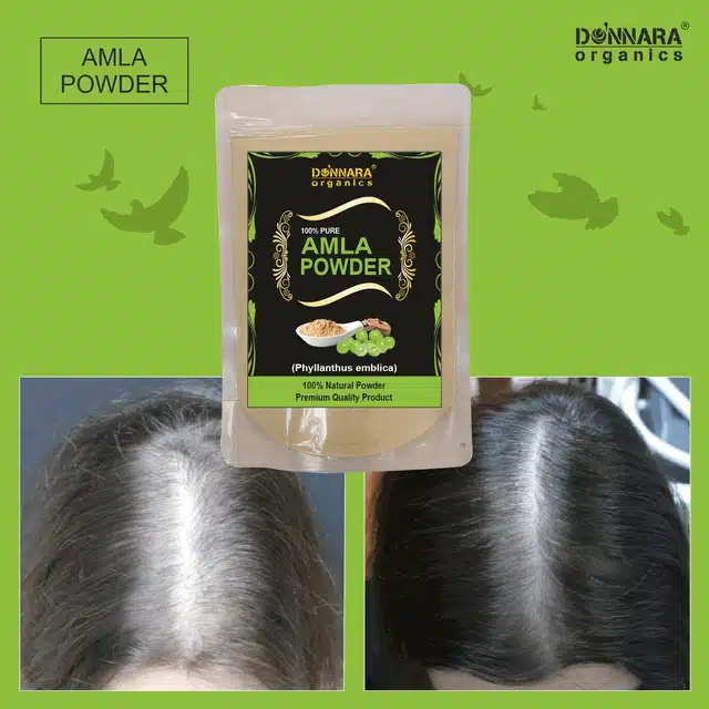 Donnara Organics Natural Amla Powder (150 g)