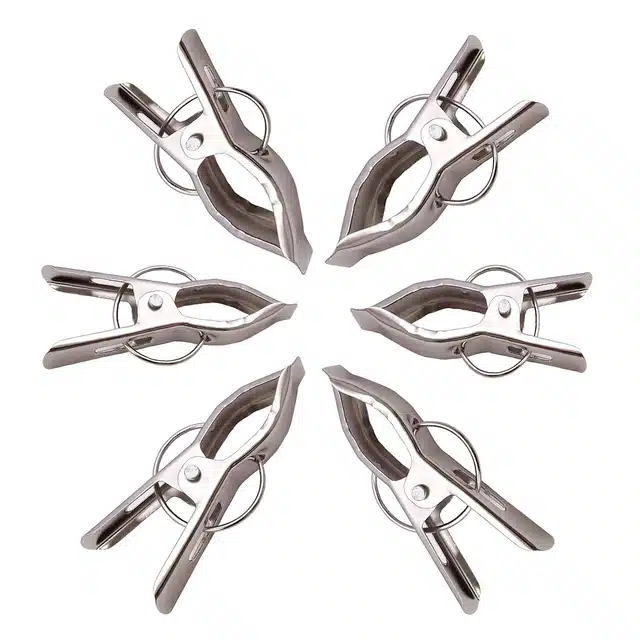 Steel Cloth Pegs (Pack of 12, Silver)