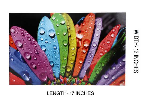 Multipurpose Refrigerator Mats (Multicolor, 12 X 17 Inch) (Pack of 8) (W-154)