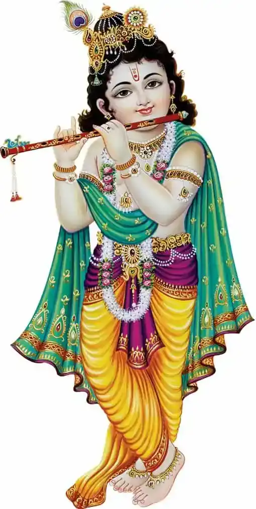 गॉड & गोड्स बांसुरी वाले बाल कृष्णा मॉडर्न आर्ट 130 वॉल स्टीकर (40 x 60 x 0.1 Cm)