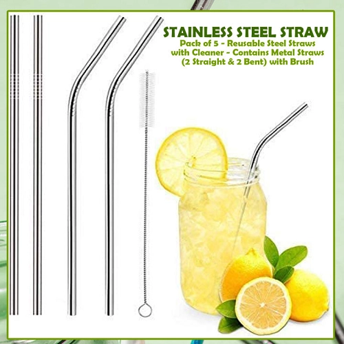 Stainless Steel Straw with Cleaning Brush (Silver, Set of 10)