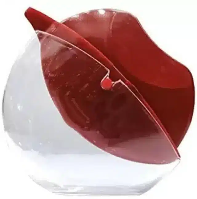 Apple Design Waterproof Matte Lipstick (Maroon, 5 g)