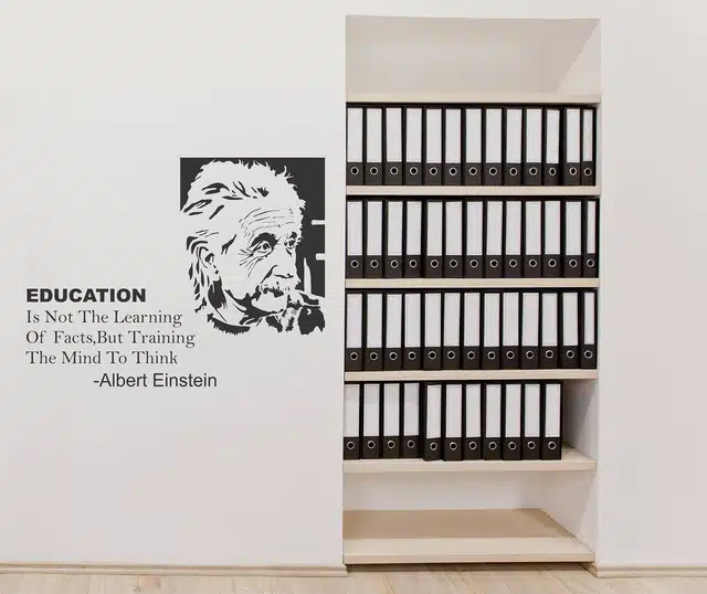 Albert Einstein Self Adhesive Wall Stickers