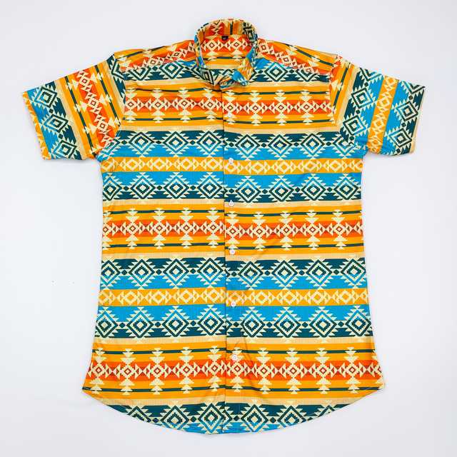 Printed Men's Shirt (Multicolor, L) (C107)