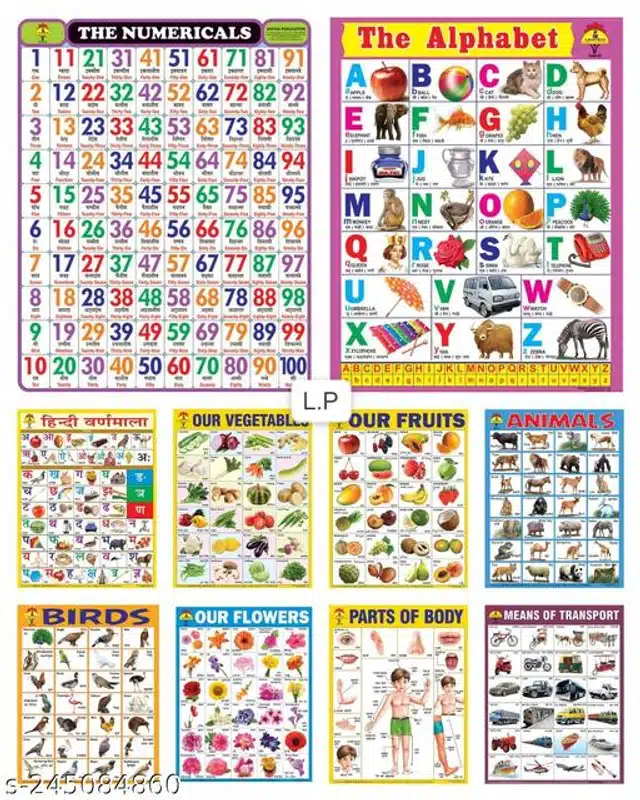 Learning Laminated Wall Chart for Kids (Multicolor, Pack of 10)