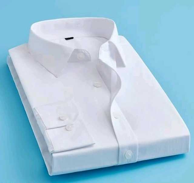 Silver Buck Men's Cotton Shirt (White, L) (SB-299)