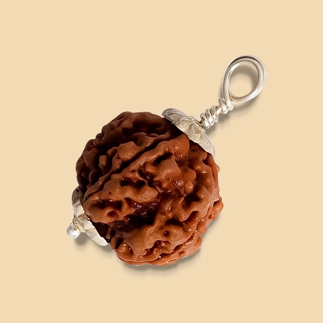 5 Mukhi Nepali Rudraksha Pendant (Brown)