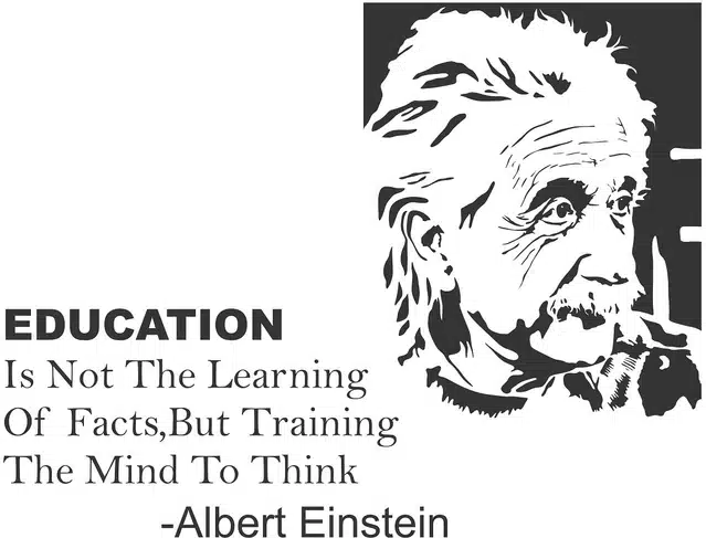 Albert Einstein Self Adhesive Wall Stickers