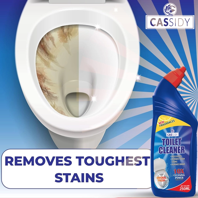 Cassidy Toilet Cleaner (250 ml)