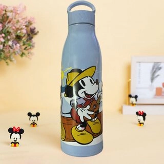 Stainless Steel Printed Water Bottle (Multicolor, 800 ml)