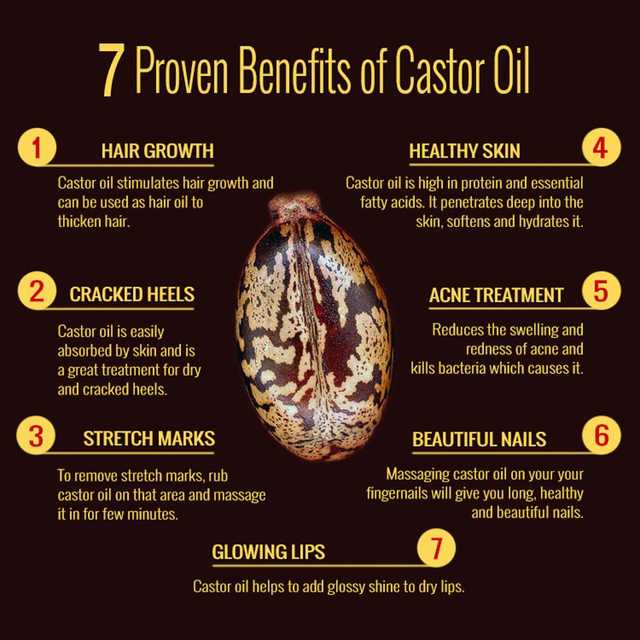 Park Danielolive Oil & Castor Oil (Pack of 2, 100 ml) (SE-623)