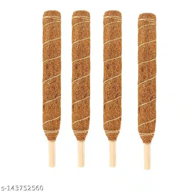 Wooden Moss Stick (Brown, 2 feet) (Pack of 4)