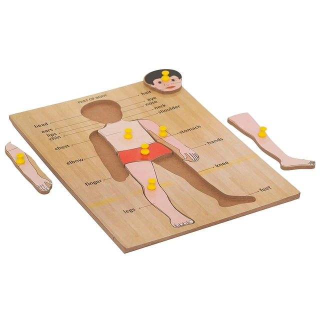 Wooden Body Parts Puzzle Board for Kids (Multicolor)