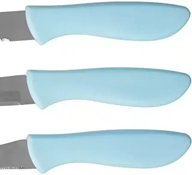 Stainless Steel Kitchen Knife Set (Pack of 3, Multicolor)