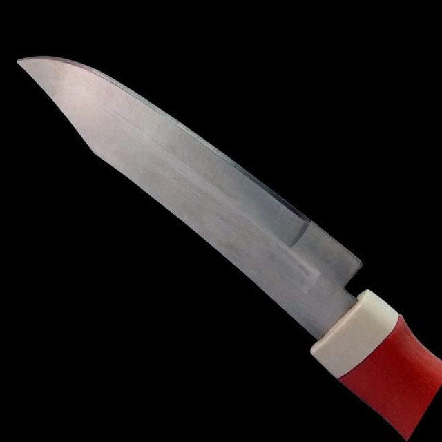 Premium Stainless Steel Knife for Kitchen with Cover (Red, Pack of 2)