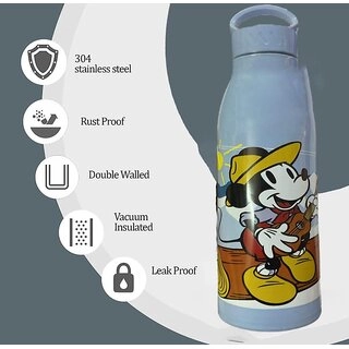 Stainless Steel Printed Water Bottle (Multicolor, 800 ml)