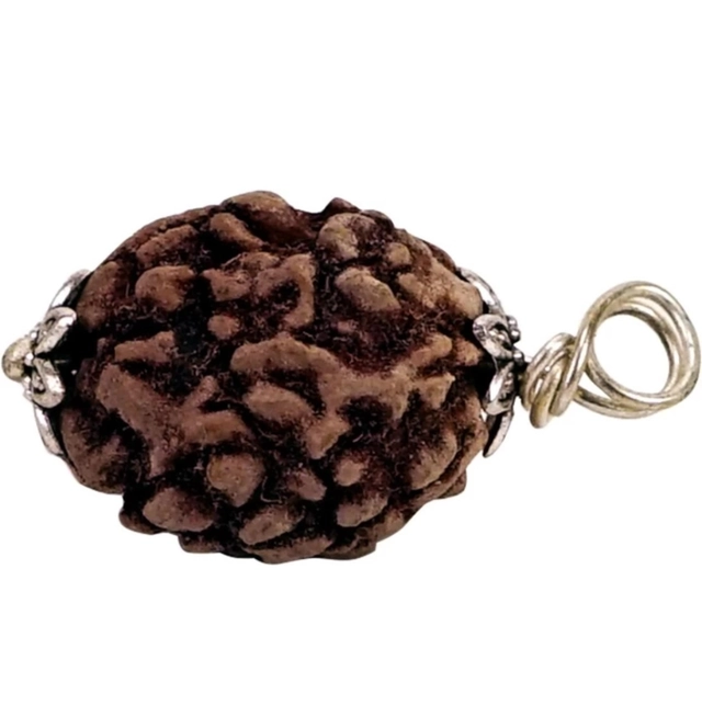 3 Mukhi Rudrakash Pendant (Brown)