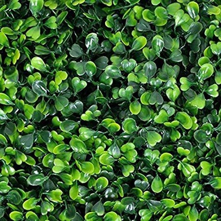 Artificial Wall Matt Plant for Diwali Decoration (Green, Pack of 1)